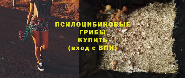 apvp Армянск